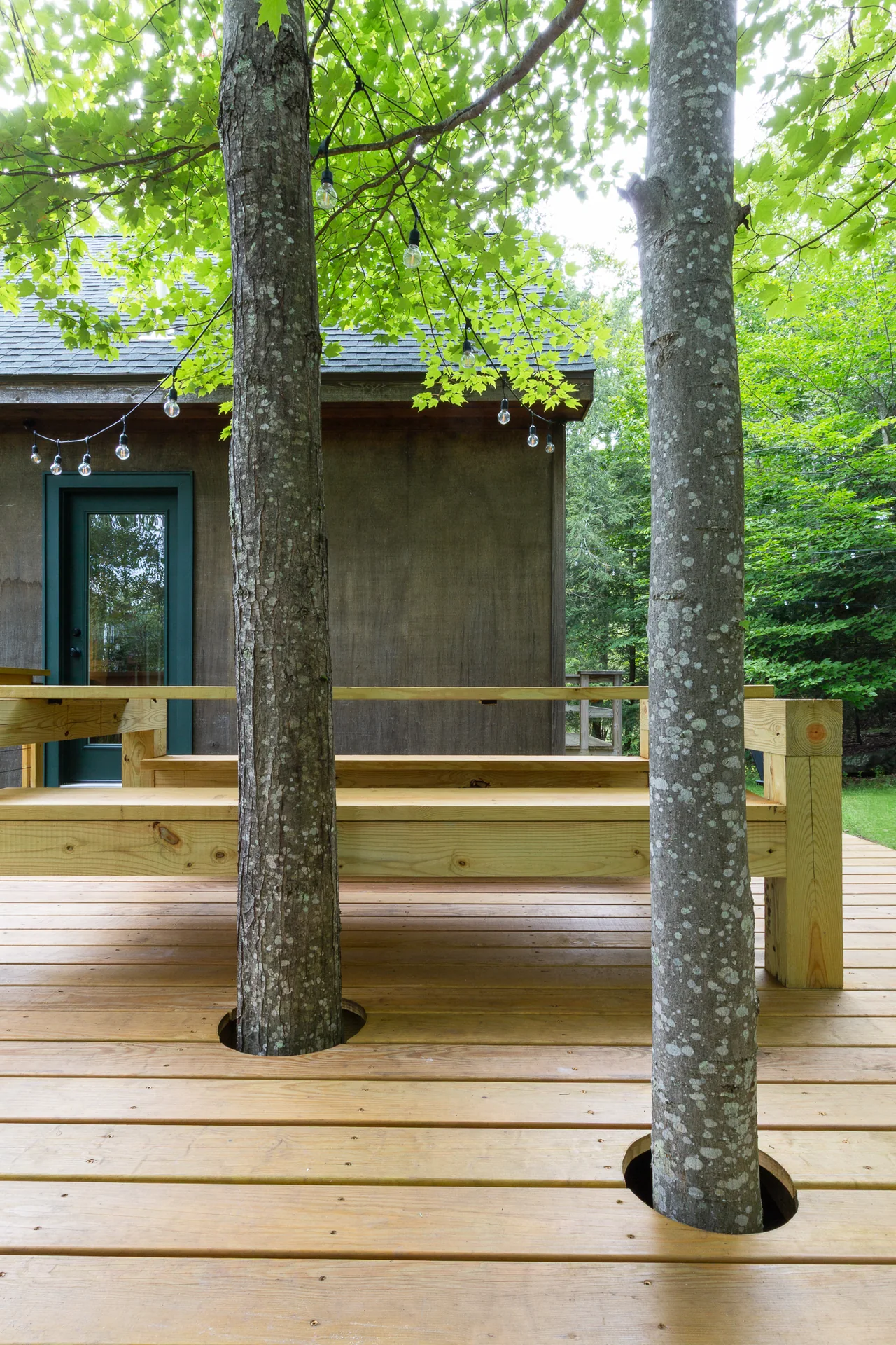 Trees woven into the timber deck at Catskills Cabin